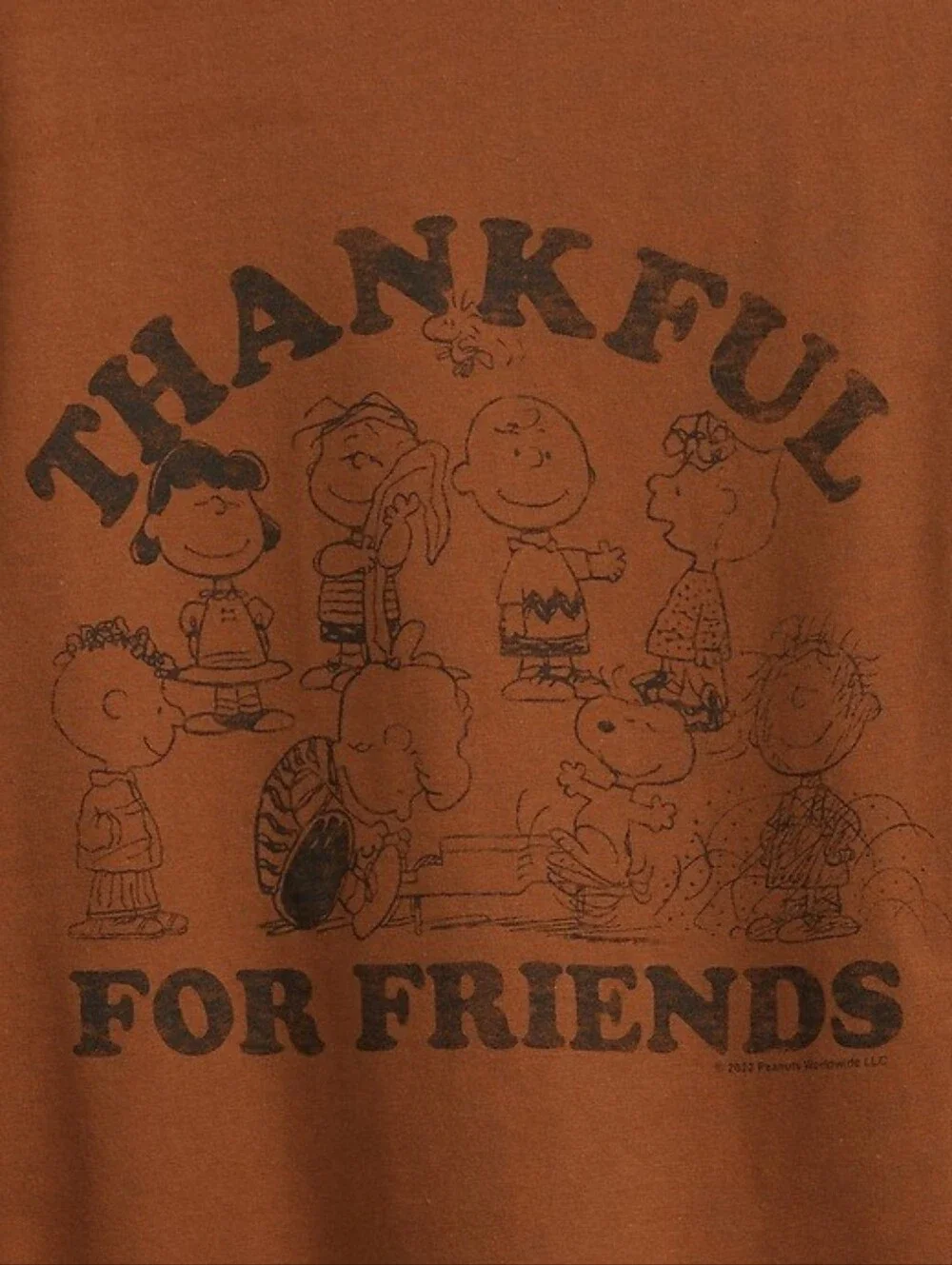 NWT babyGap Gap Peanuts Snoopy Thankful for Friends Long Sleeve Tee Thanksgiving